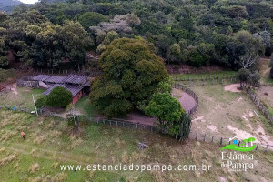 450 HA NO RS.00_04_32_05.Quadro030_379988a678c304da785f8d232e51b997113a30a3.jpg